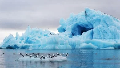 صورة أنتركتيكا: تقلص رقعة الجليد البحري إلى أدنى مستوى منذعقود