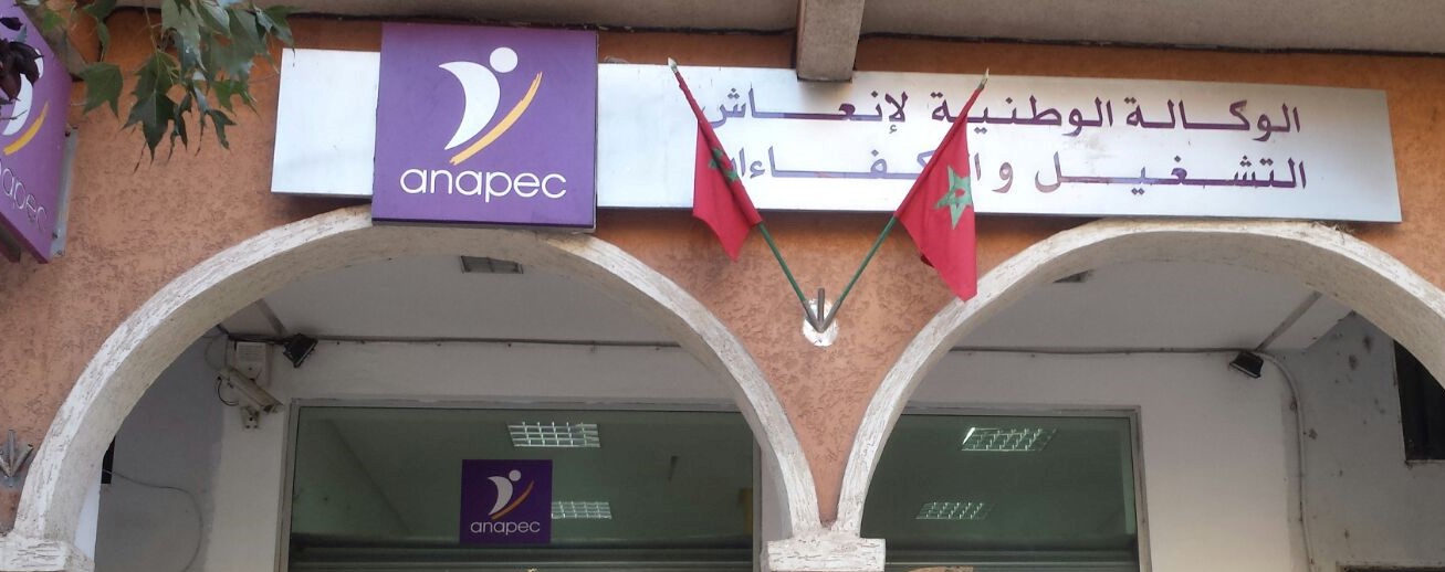 تنظيم جديد للوكالة الوطنية لإنعاش التشغيل والكفاءات