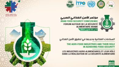 الأمن الغذائي العربي
