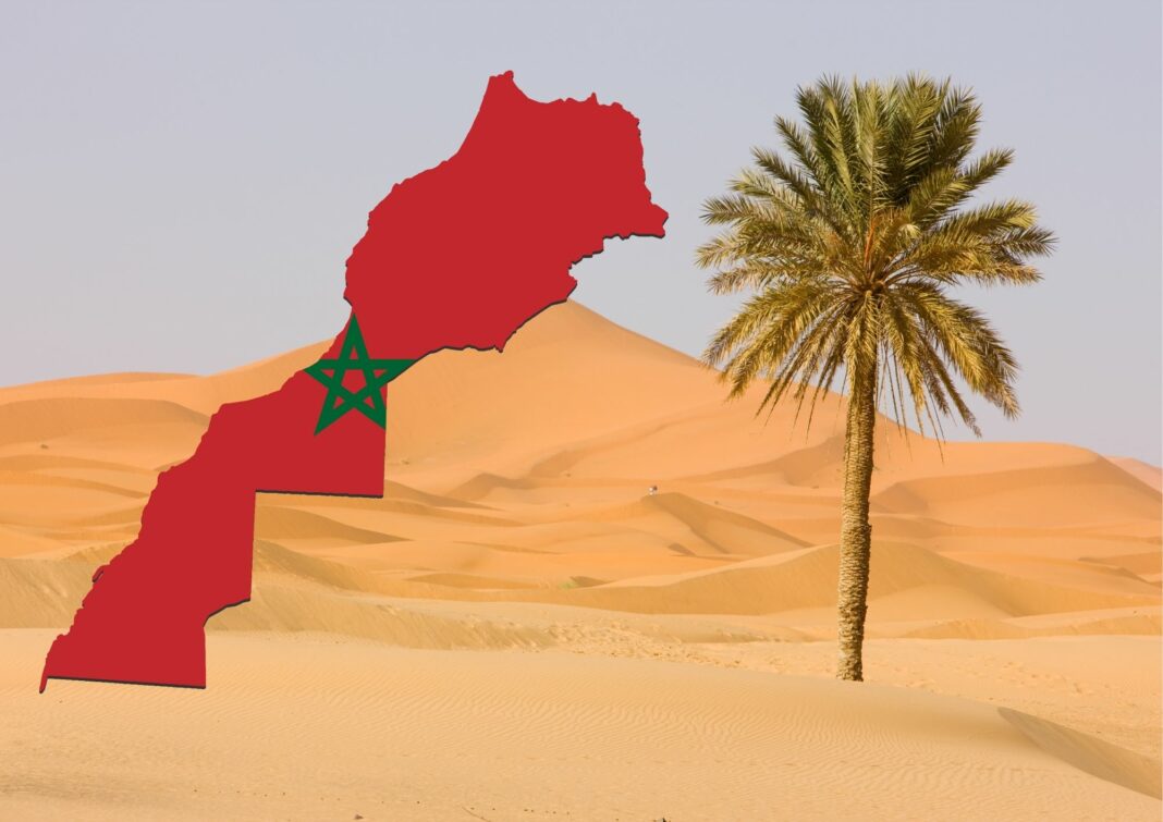 الحكم الذاتي: طريق المغرب نحو سلام دائم في صحرائه