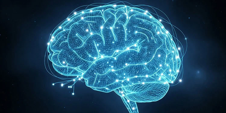 مخ الإنسان يواصل التعلم حتى أثناء التخدير الكامل مخ الإنسان