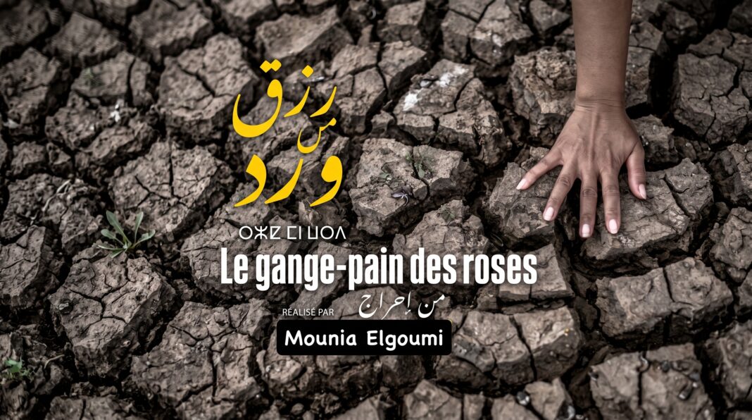 مونية الكومي تمثل المغرب في مهرجان غزة الدولي لسينما المرأة مونية الكومي